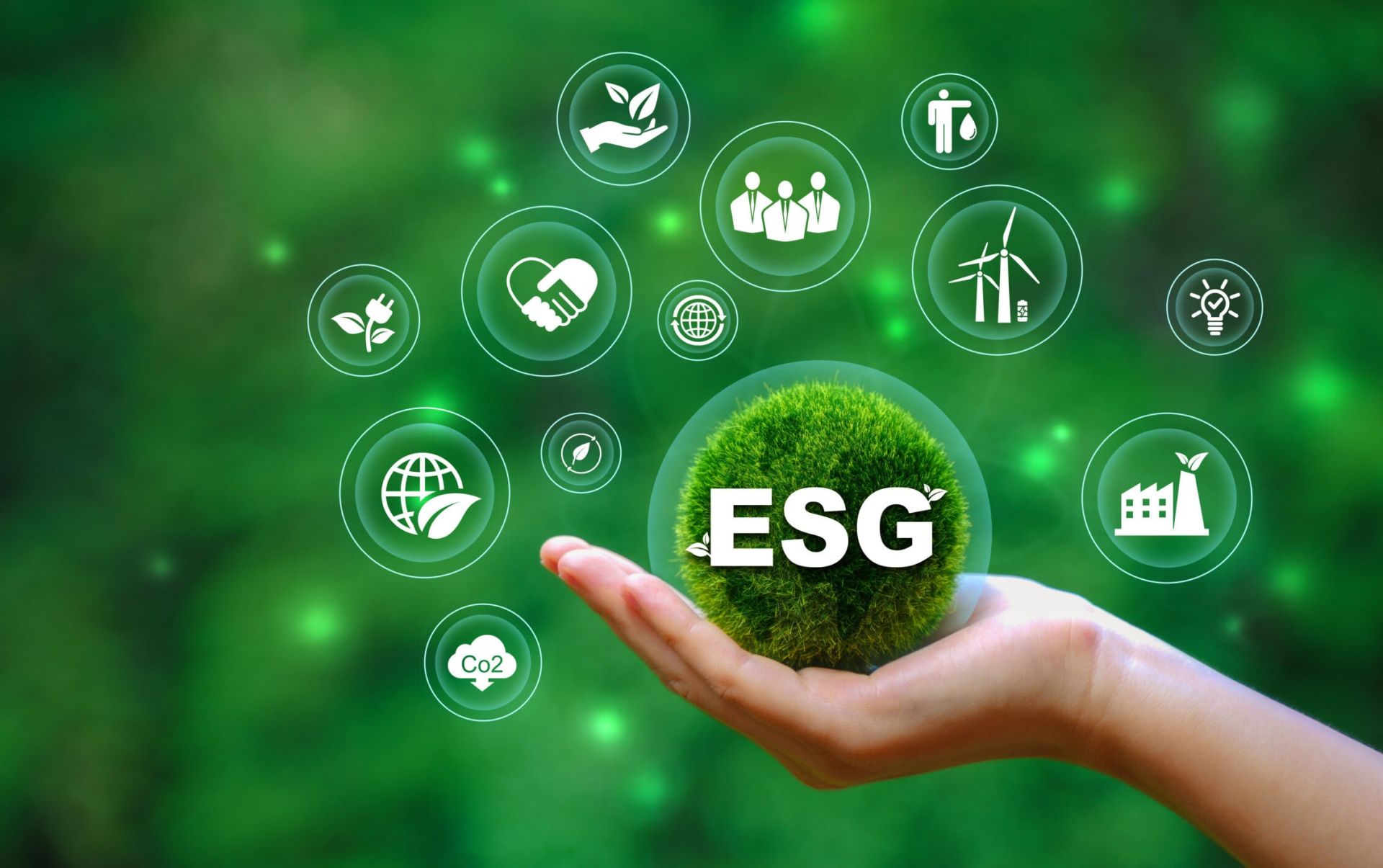 Doanh nghiệp có thể tự đánh giá ESG để tiếp cận vốn xanh từ giữa năm 2026